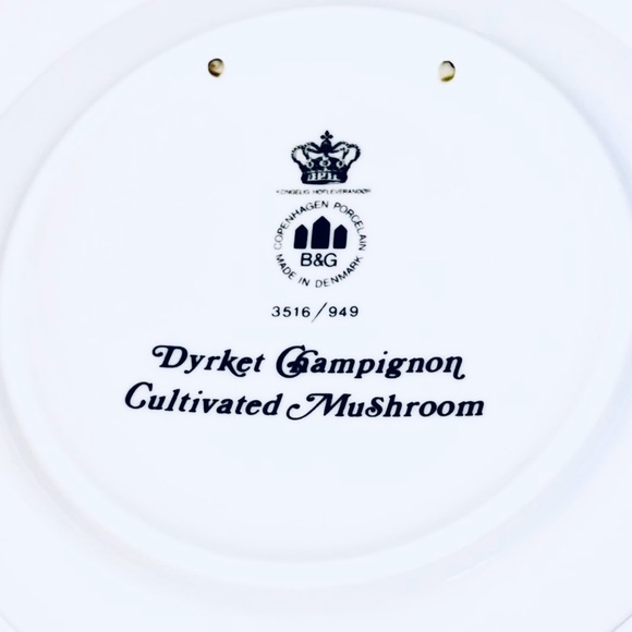 Copenhagen Porcelain B&G Mushroom Trivet Wall Plate Bing Grondahl Vintage Danish - Picture 2 of 4
